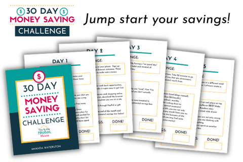 30 Day Money Saving Challenge Special Offer ($21 value)